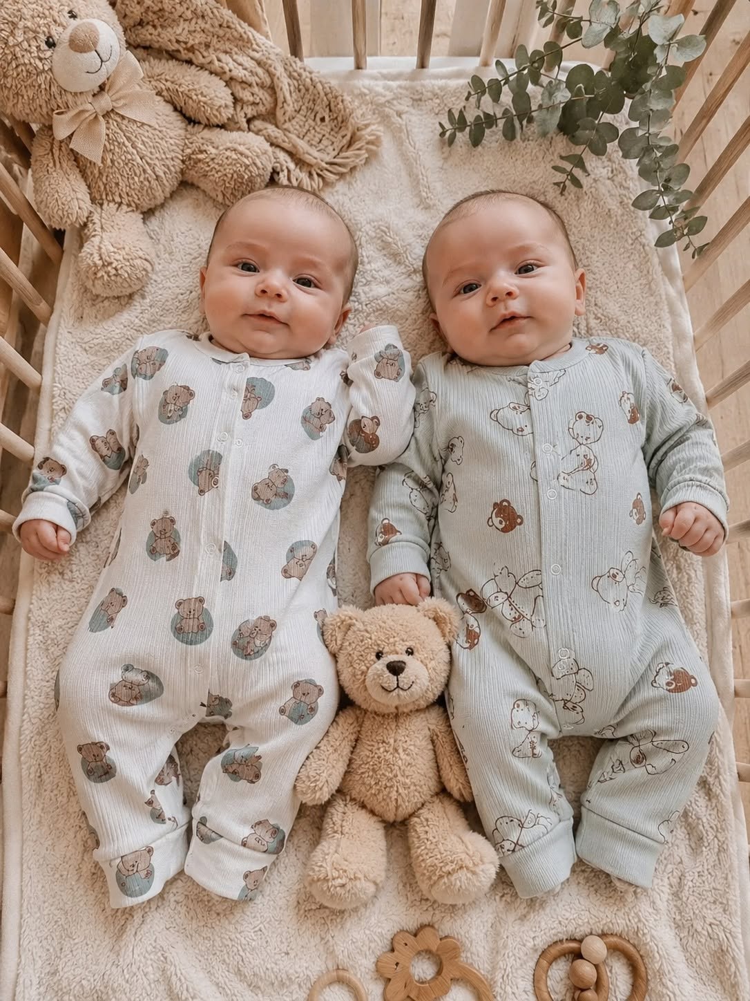 Sweet Bear Duo Collection
