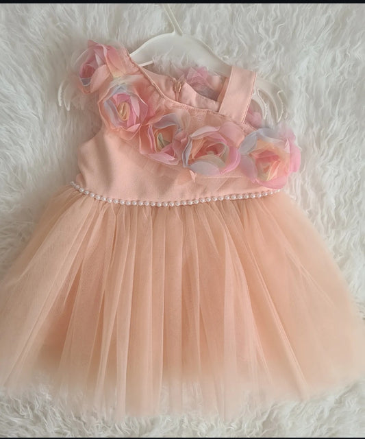Luxury Rose Baby Balldress
