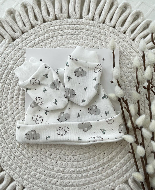 Newborn Hat & Scratch Mittens