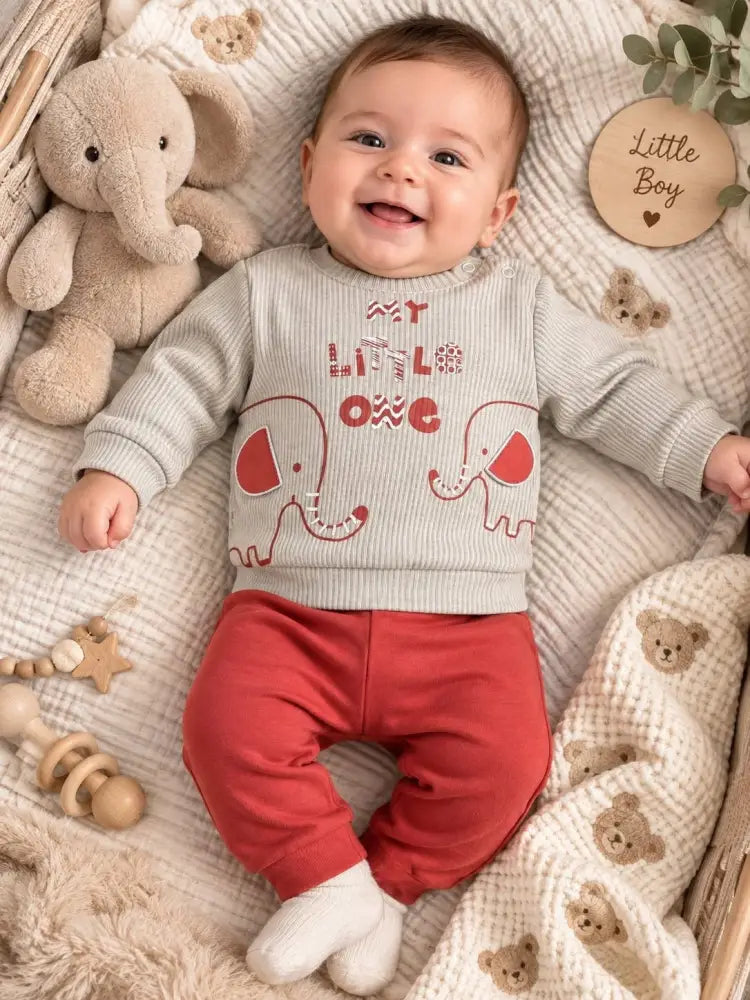 Olachika Little Elephant Set - 2-Delige Baby Jongens set - 62/68 - Babyboy Outfit