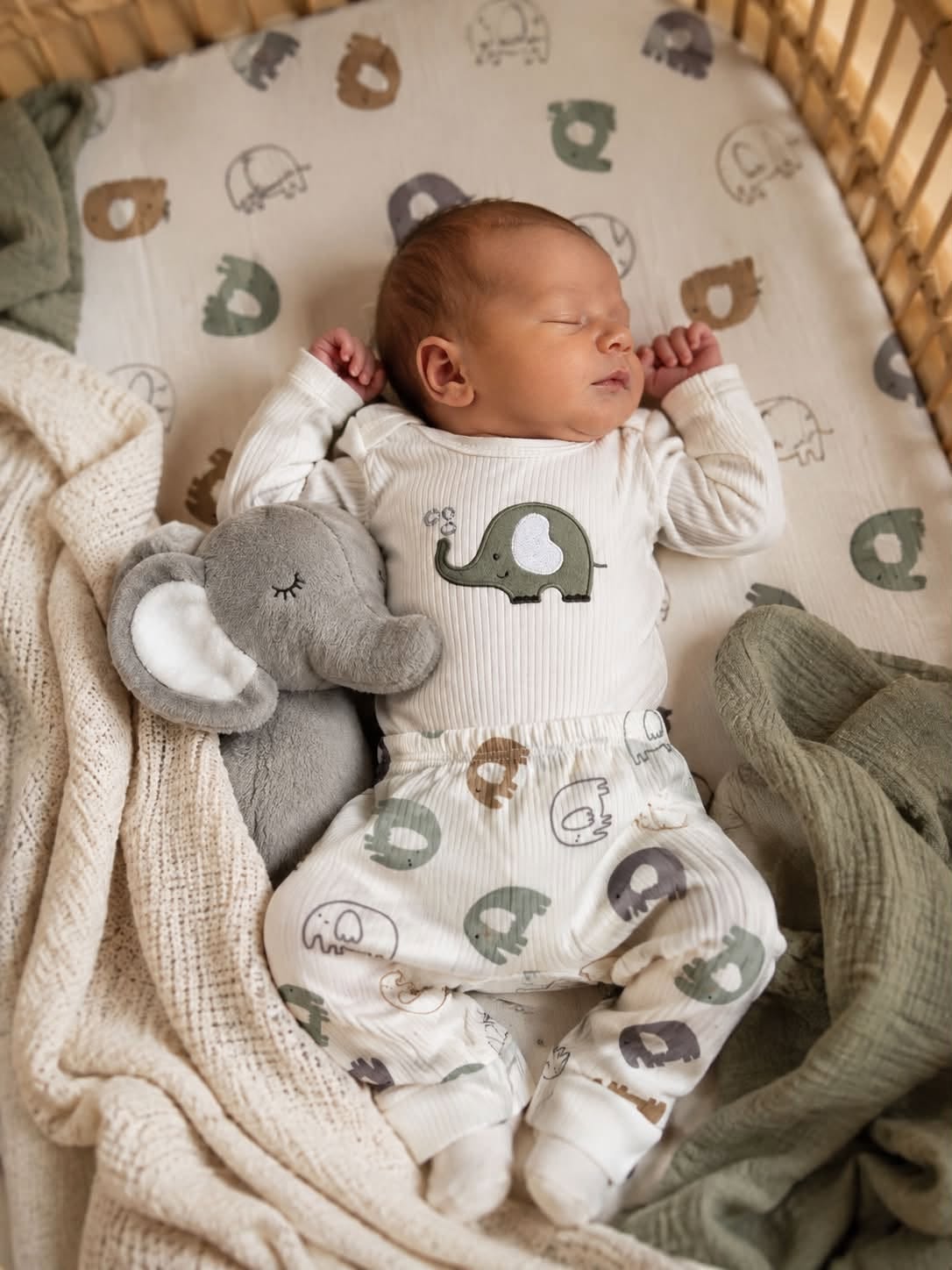 Little Elephant Babyset